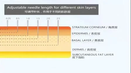 Fabricant professionnel Commerce de gros 540 Derma Roller Instrument d'aiguilletage cosmétique pour le visage